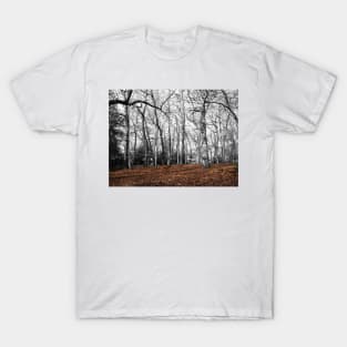 Forest - Dried leaves in brown and branches in shades gray T-Shirt